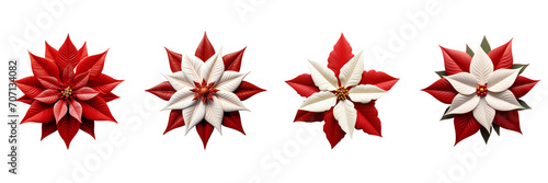 Christmas Star flower poinsettia on a transparent background 
