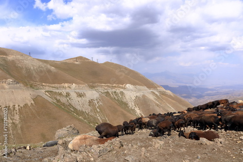 view from the Kaldaman pass between Arslanbob and Kazarman in Kyrgyzstan, Central Asia photo