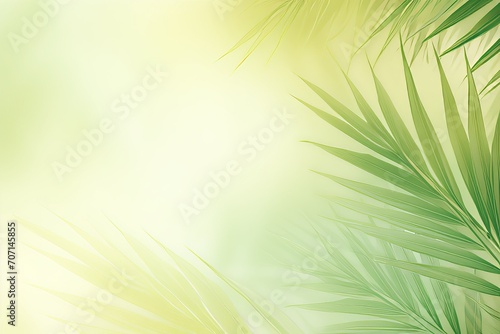 Green leaves of palm tree on blurred greenery background with copy space