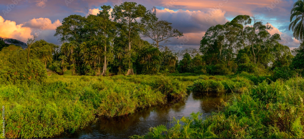 Golden Hour at a Serene Tropical River Landscape with Lush Vegetation and Dramatic Skyscape Golden Hour at a Serene Tropical River Landscape with Lush Vegetation and Dramatic Skyscape