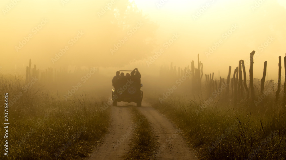 Fototapeta premium misty morning in the field