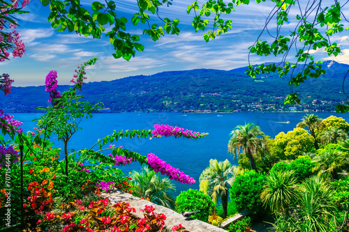 Picturesque Lakeside View with Vibrant Flowers and Palm Trees on a Sunny Day, Italian Lake Region photo