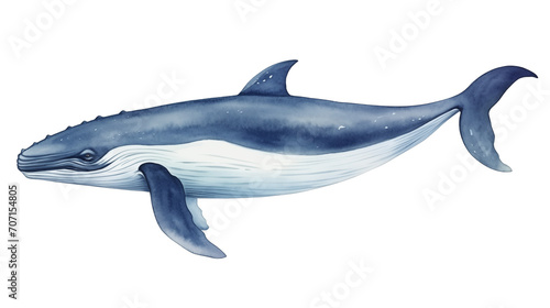 Whale watercolor isolate on white