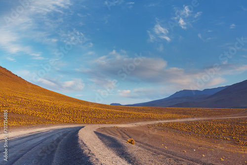 Road in Bolivia