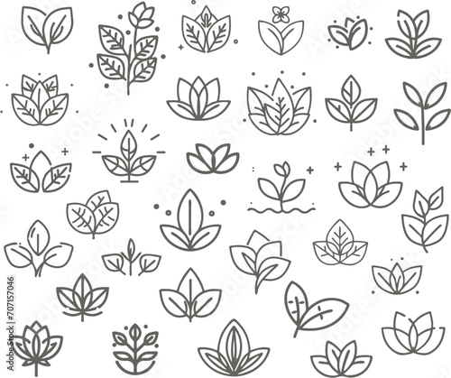 vector set of sprouts with leaves in line style