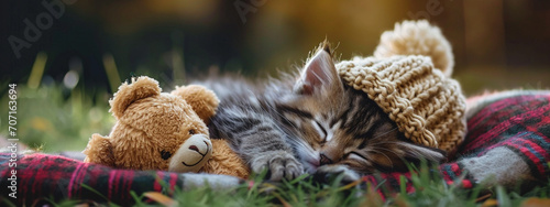 a little cat in a hat with a toy bear is sleeping in nature © Артур Комис