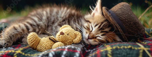 a little cat in a hat with a toy bear is sleeping in nature © Артур Комис