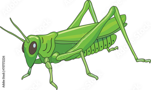 Photography Cute grasshopper sitting quietly illustration