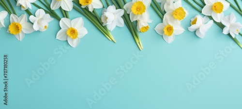 Happy Easter flowers holiday celebration banner greeting card banner panorama - Daffodils narcissus, isolated on blue turquoise paper table texture background, top view photo
