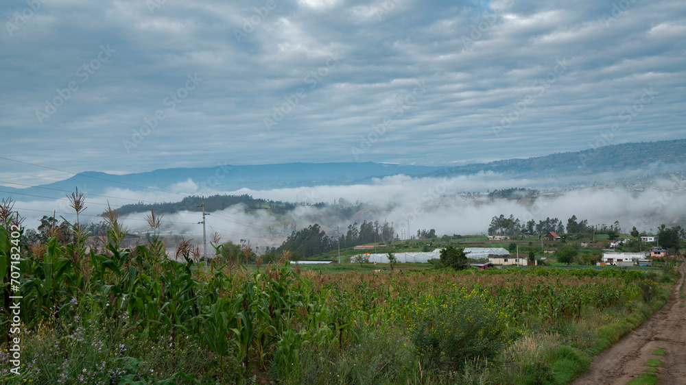 Panoramic view of the fields sticking out between the clouds near Pillaro with a corn plantation in the foreground