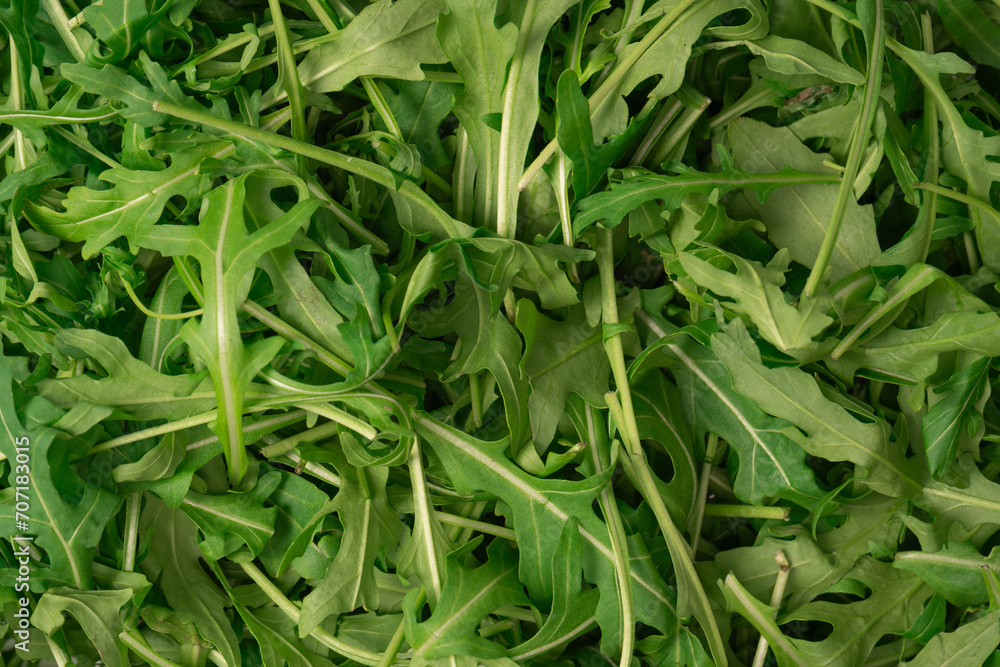Fresh leaves of arugula as a background. Fresh leaves of arugula as a background.