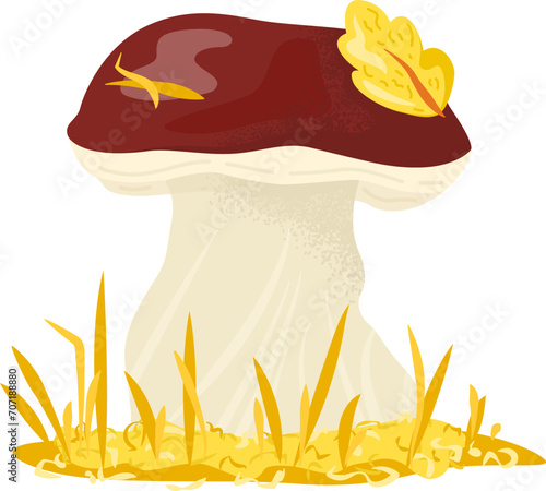 Cartoon porcini mushroom on grass, autumn fungus with leaves. Forest collectible edible boletus vector illustration.