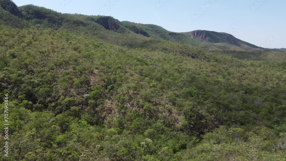 Areal view of the original vegetation on the Brazilian Cerrado in the state of Goias Areal view of the original vegetation on the Brazilian Cerrado in the state of Goias