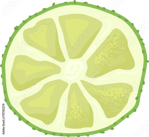 Close-up cross section of lime slice with pulp and seeds. Detailed citrus fruit slice illustration. Vector illustration of fresh lime, perfect for food and drink themes. photo