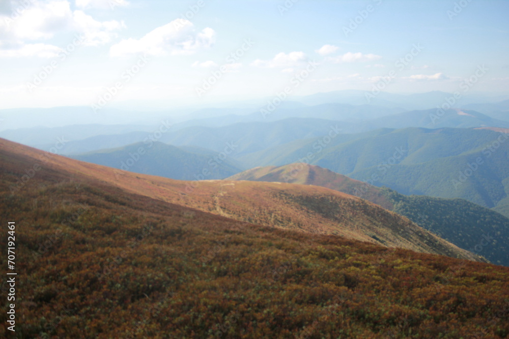 Naklejka premium landscape in autumn