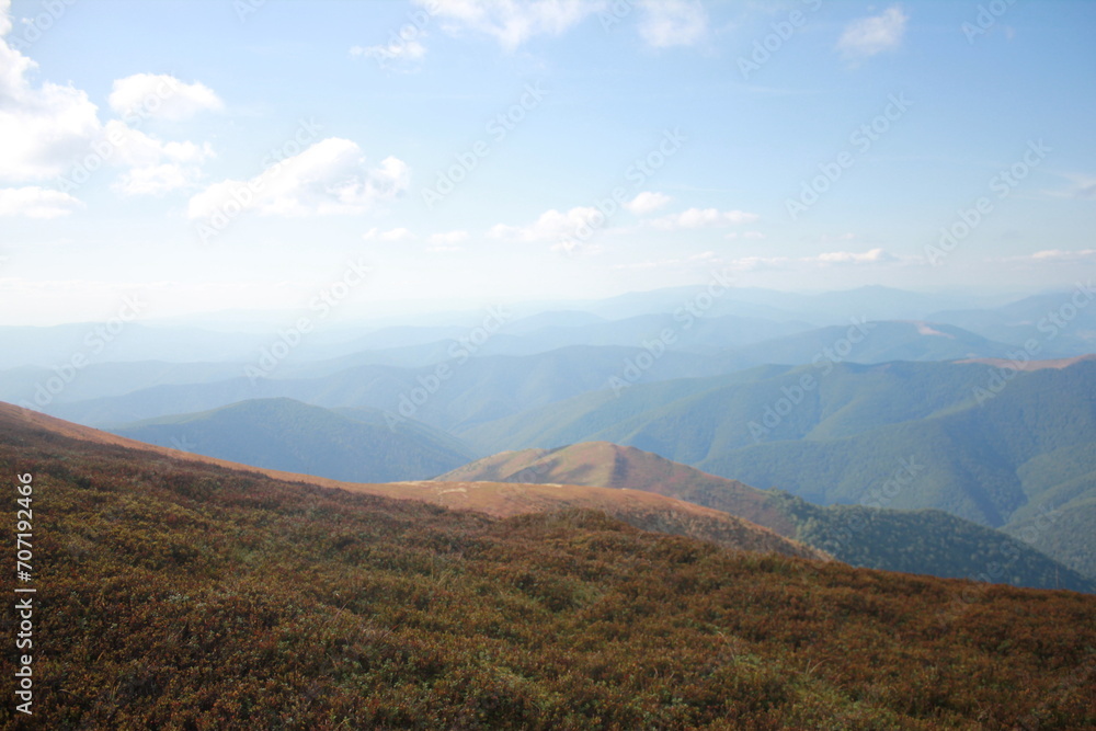 landscape in autumn