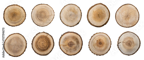 Collection of round  wooden tree slices  isolated on transparent background.