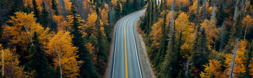 Winding road through autumn forest, concept of wanderlust, road trip, and countryside exploration.
