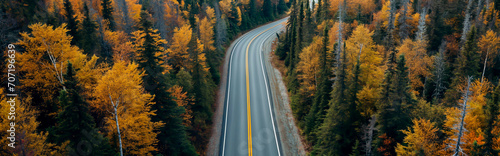 Winding road through autumn forest, concept of wanderlust, road trip, and countryside exploration. 