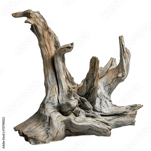 Bleached driftwood isolated on transparent background