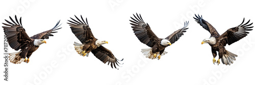Set of Bald Eagle Flying Isolated on transparent or white Background © MaxSimplify