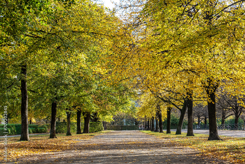 Walking in Hofgarten Park in Munich on an autumn day, Germany