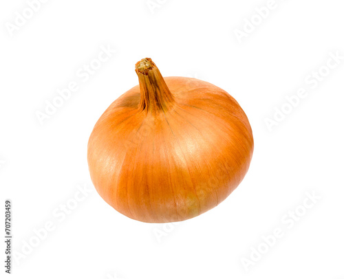  Whole onion on white