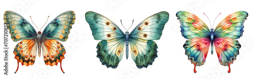 colorful butterfly set watercolor illustration png isolated on a transparent background, clipart  photo