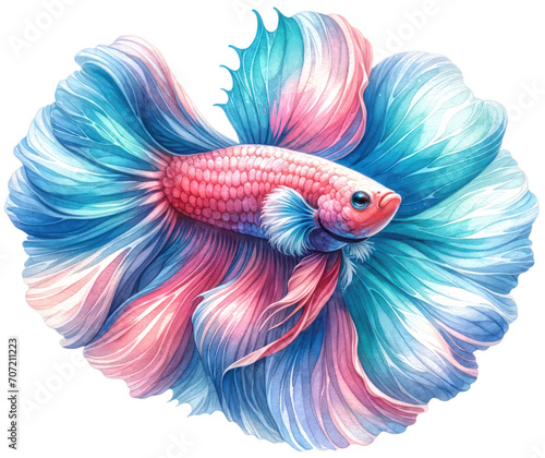 set of watercolor cute Betta fish isolated on transparent background © Nisit