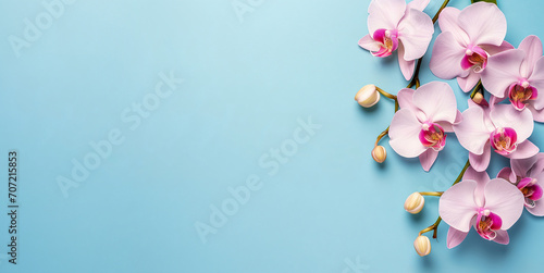 Bright spring and summer background in blue with white and pink orchids . Banner of flowers with place for text  copyspace  web banner and postcard  spa and relax