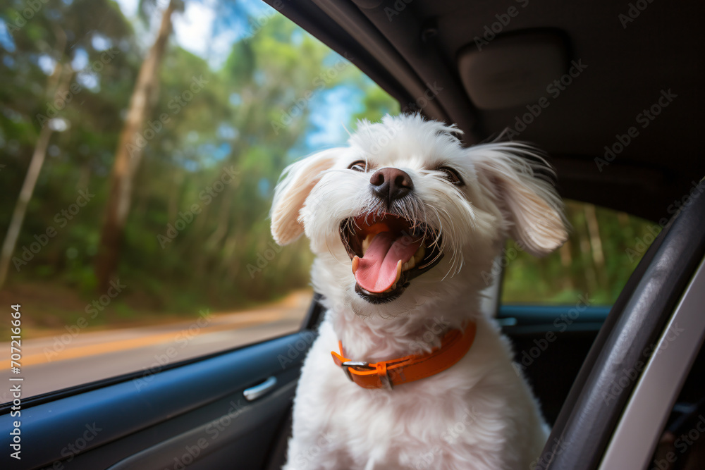 Dog wearing sunglasses in car, in the style of white and orange, vintage atmosphere, wimmelbilder, joyful chaos, southern countryside, light beige and amber, cute and colorful
Dog wearing sunglasses in car, in the style of white and orange, vintage atmosphere, wimmelbilder, joyful chaos, southern countryside, light beige and amber, cute and colorful