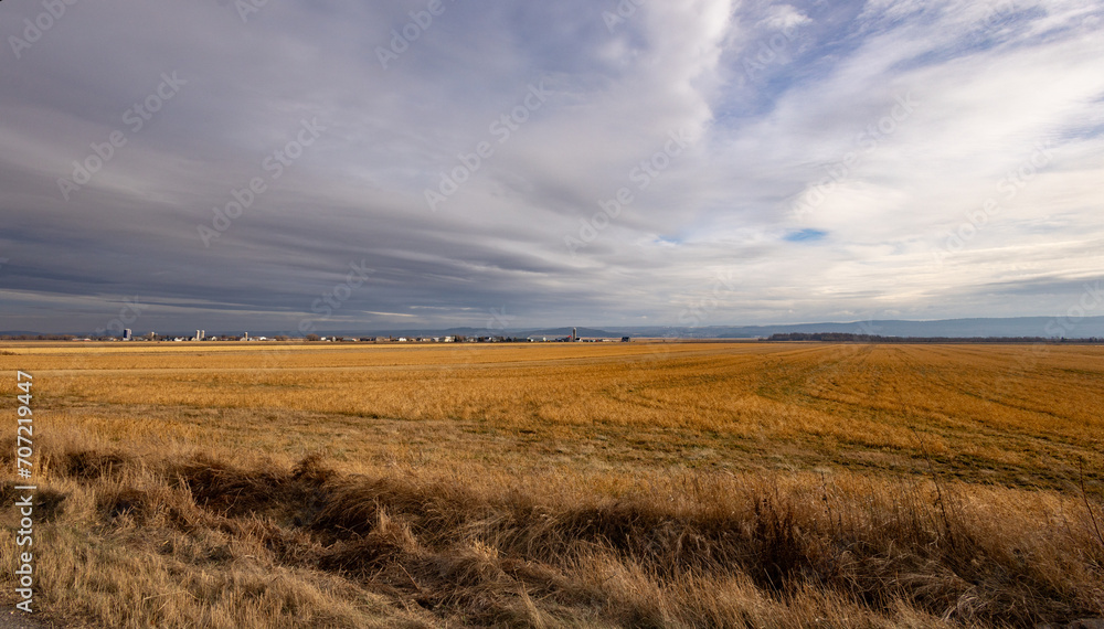 Champs de Kamouraska, panoramique Champs de Kamouraska, panoramique