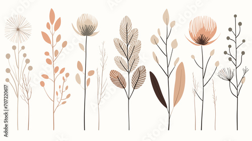 vector illustration, Boho aesthetic abstract botanical wall art. Trendy posters for Scandinavian design in neutral pastel colors. Beautiful calming background with different plants, or parts of plants