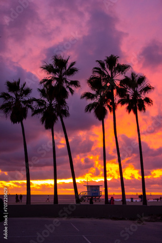 Palm trees silhouetted in the cloudy and colorful los angeles sunset, taken from the recreational area. © Adam