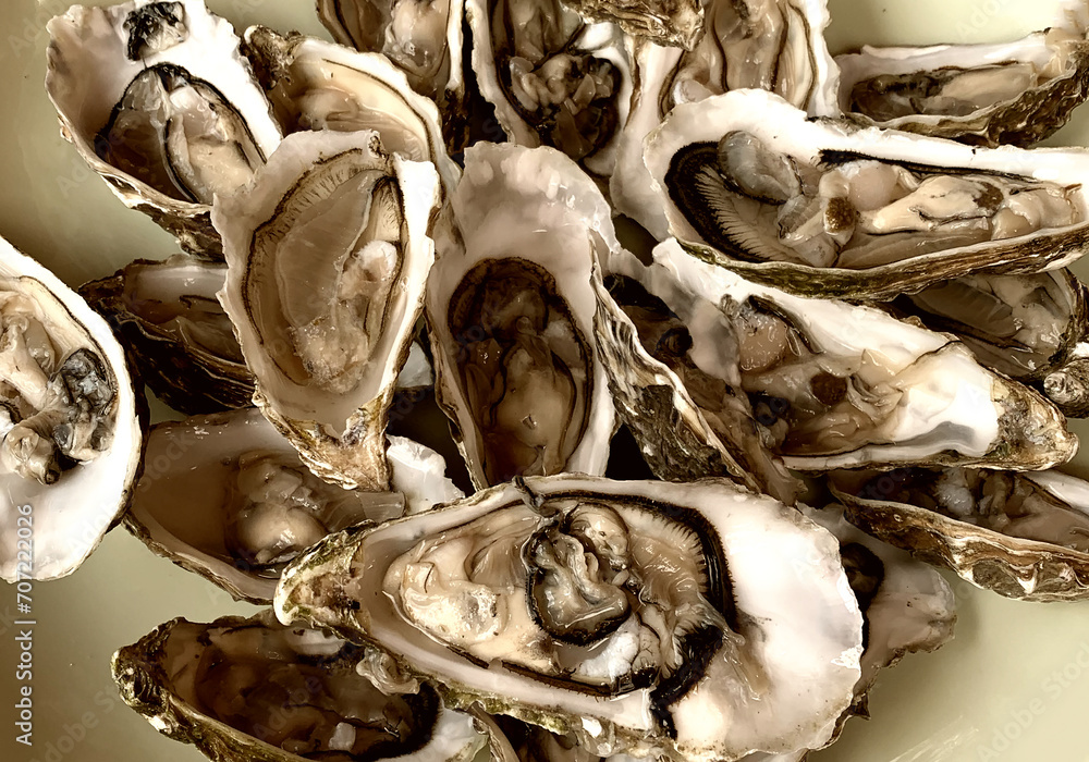 Fresh opened oysters in a plate, ready for served Fresh opened oysters in a plate, ready for served