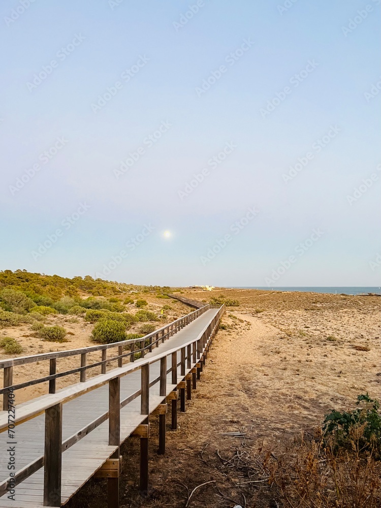 Boardwalk to the ocean, early morning pastel sky, moon