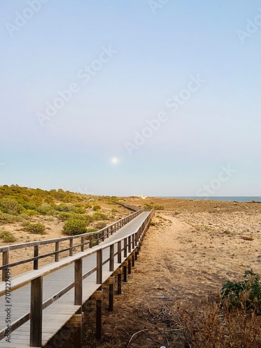 Boardwalk to the ocean  early morning pastel sky  moon