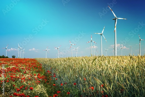 Beautiful farm landscape with wheat field, poppies and chamomile flowers, wind turbines to produce green energy in Germany, Summer, at sunny day and blue sky.