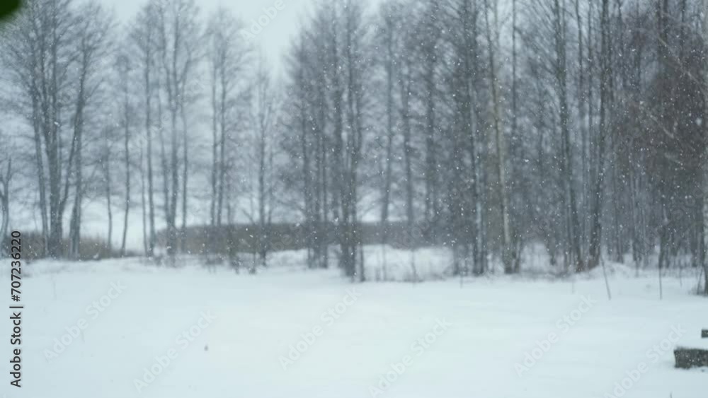 Heavy snowfall. Beautiful forest landscape of snow and blurred trees. Gently falling snow flakes. Bad snowy weather cold day. Winter nature background. Nobody, No People, Super Slow motion. Snowstorm Heavy snowfall. Beautiful forest landscape of snow and blurred trees. Gently falling snow flakes. Bad snowy weather cold day. Winter nature background. Nobody, No People, Super Slow motion. Snowstorm
