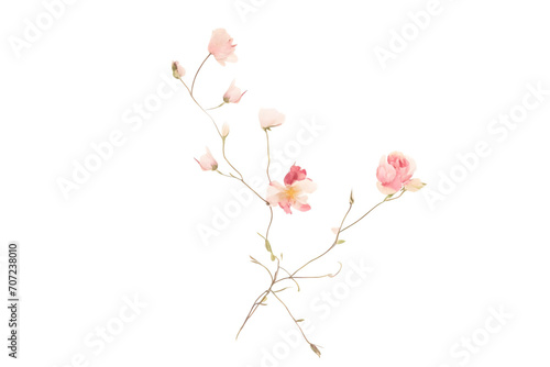 blossom isolated on white, AI generated.
