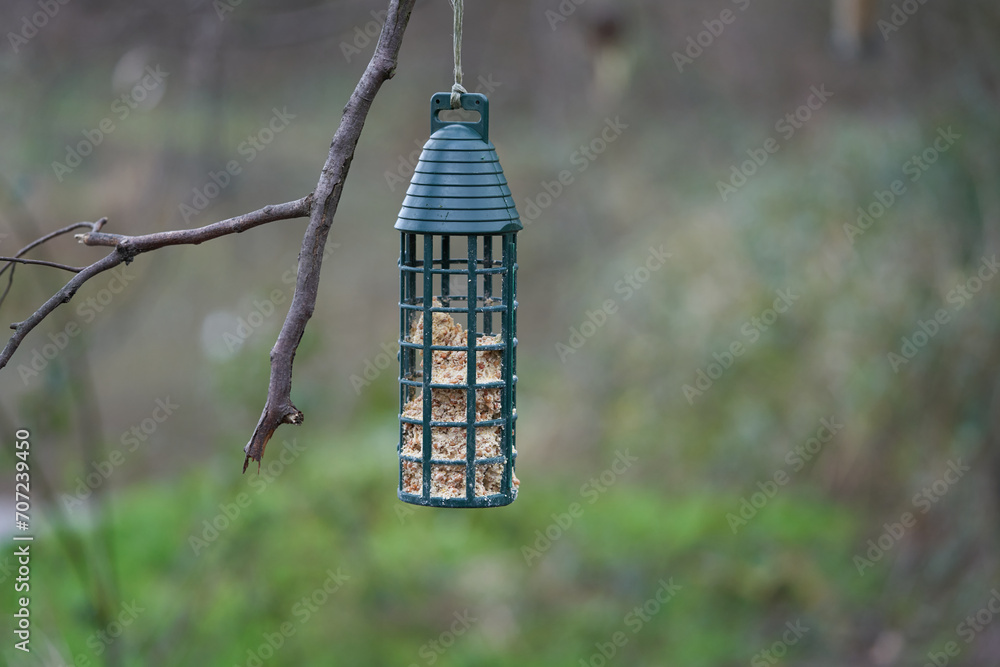 green bird feeder in the forest