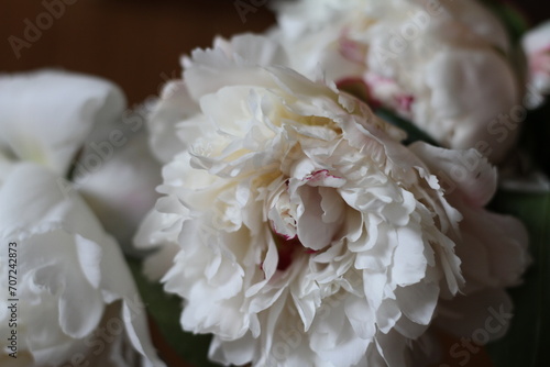 bouquet of white roses