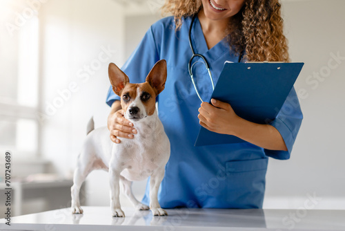 Woman vet with clipboard secures dog for examination