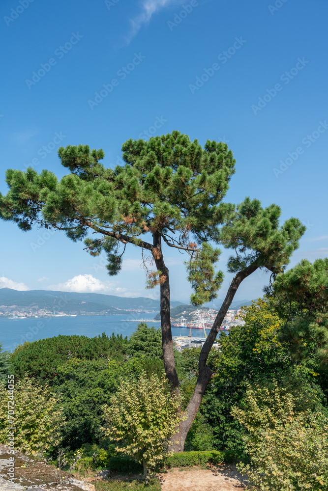 Fototapeta premium View over Vigo harbour and estuary from Parque Monte do Castro in Vigo.