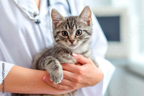 Grey striped Cat on hands veterinarian doctor in veterinary clinic , Veterinary banner 