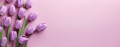 Spring tulip flowers on mauve background top view in flat lay style  #707249415
