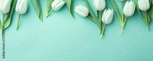 Spring tulip flowers on mint green background top view in flat lay style 
