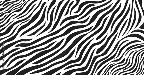 zebra skin pattern Wavy black and white zebra fur texture vector