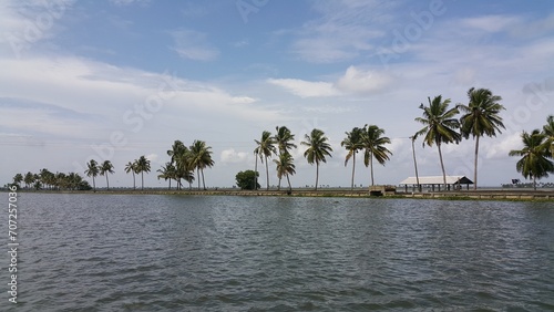 natural landscape with water and coconut trees blue sky clouds in Kerala India