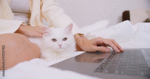 woman working on laptop online lying on bed in bedroom with her cat and petting cute pedigreed pet. Little best friends. Happy domestic animals at home, Work from home concept